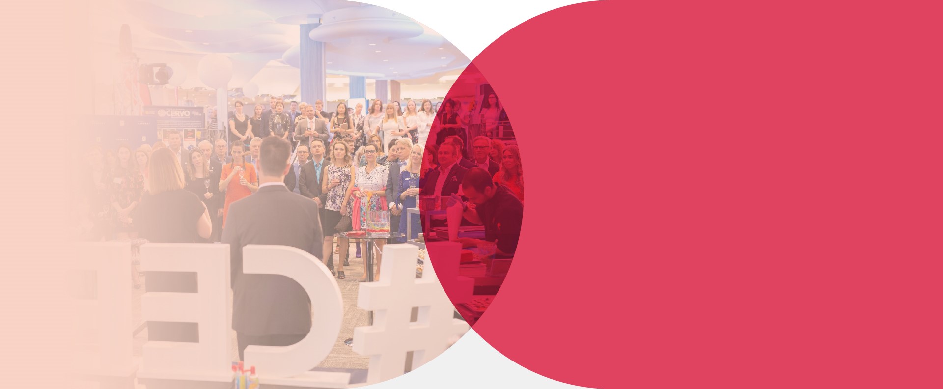 banniere-dun-chic-fou