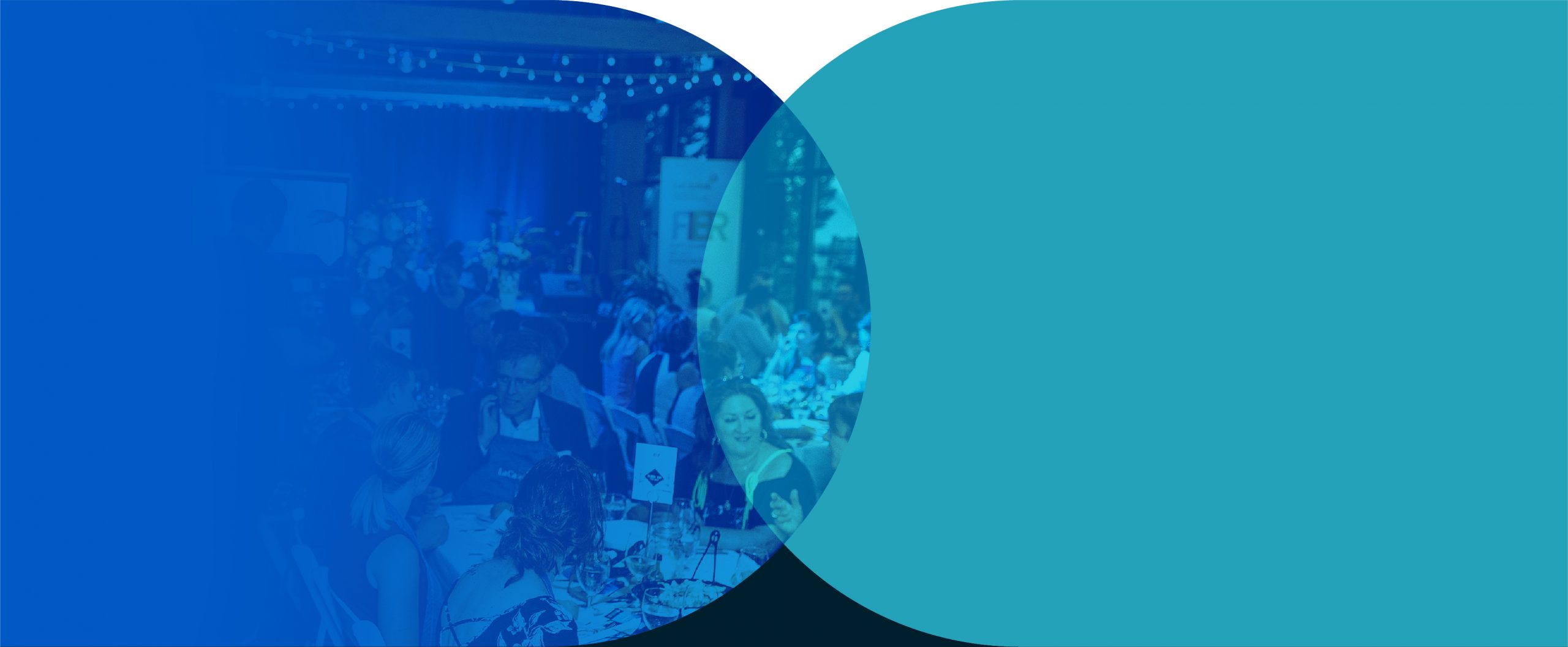 cervo_header-activitees