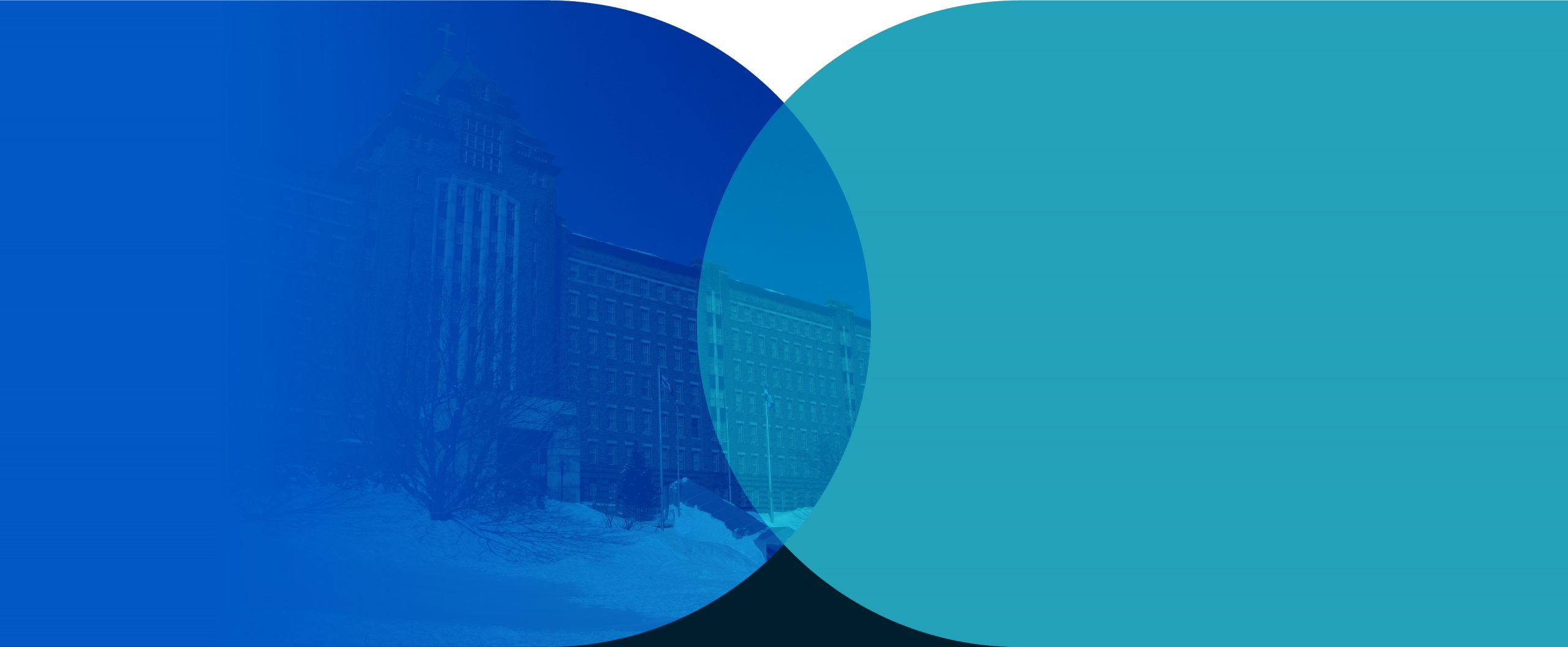 cervo_header-fondation