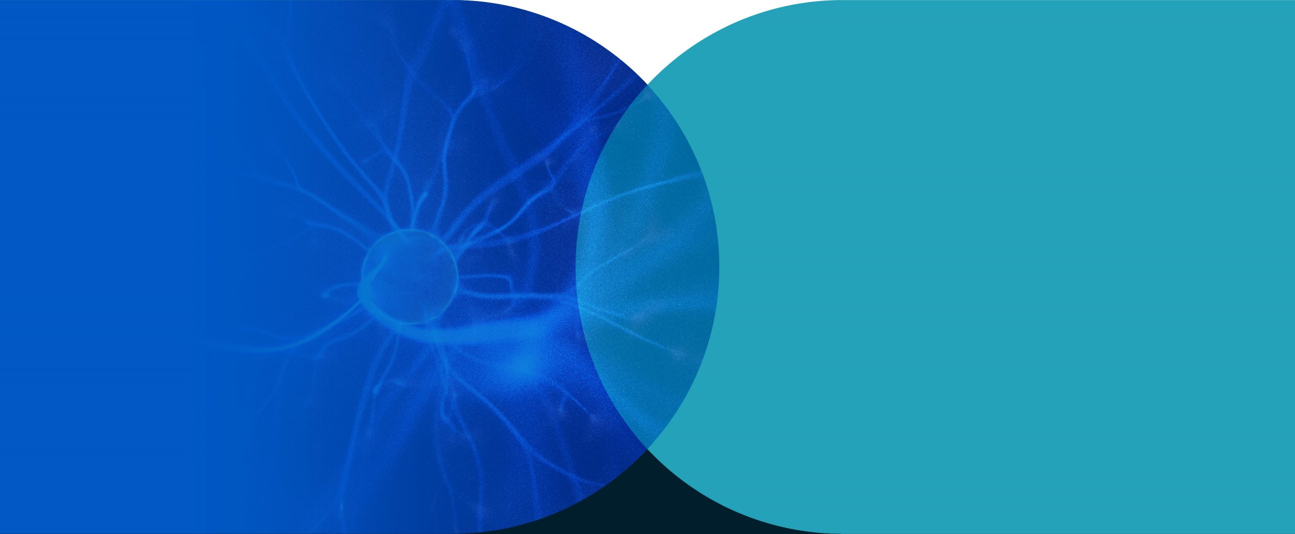 cervo_header-notreimpact