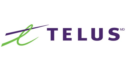Image pour l'article Le Comité d’investissement communautaire de TELUS à Québec remet 135 000 $ à des organismes communautaires pour aider à faire face à la COVID-19.